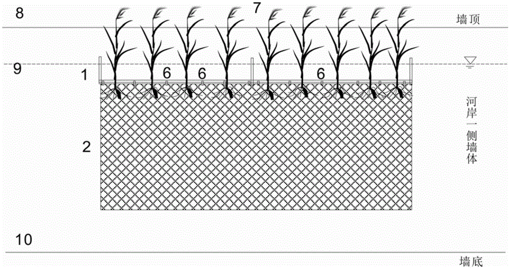 Ecological revetment and construction method thereof