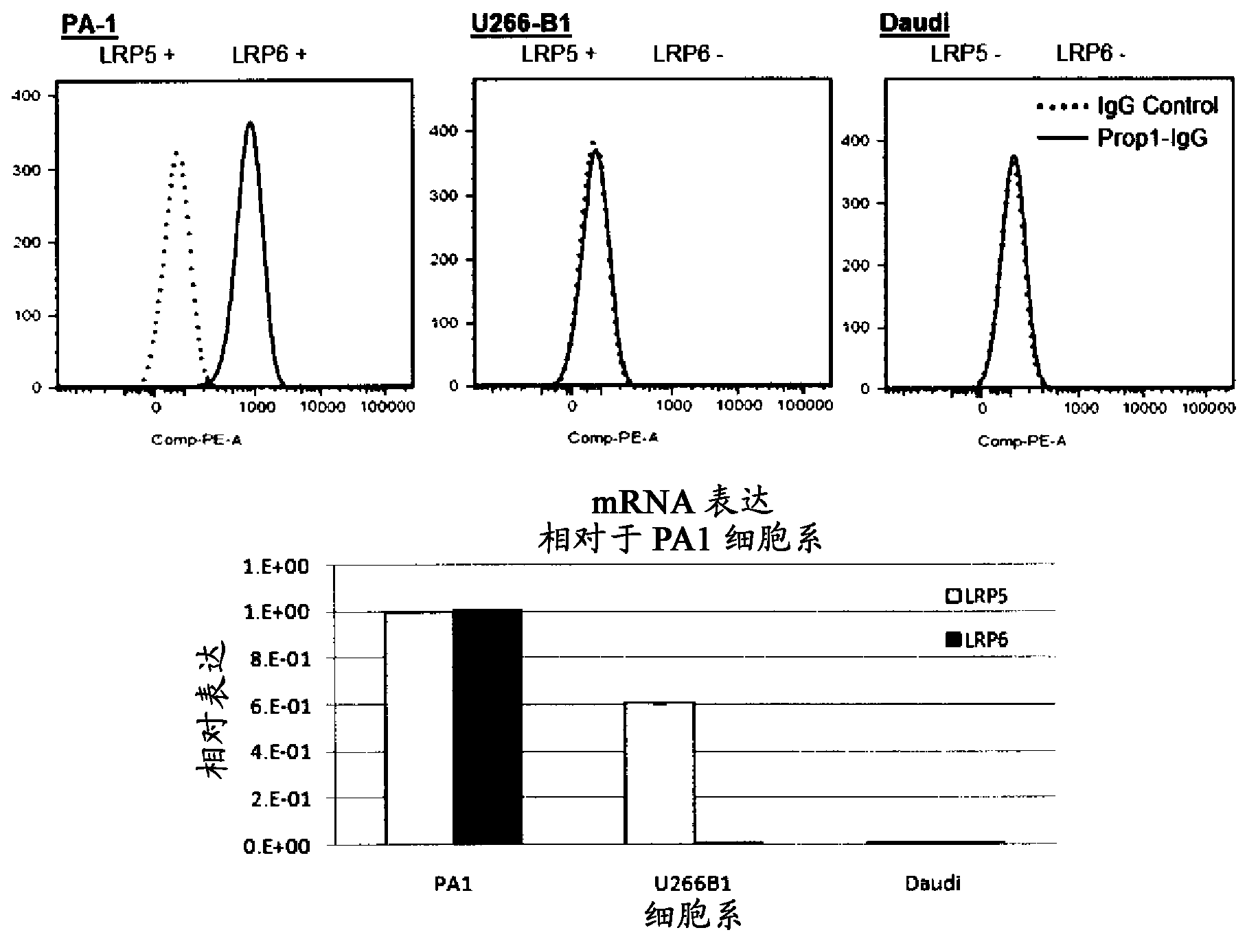 Compositions and methods of use for therapeutic low density lipoprotein-related protein 6 (LPR6) multivalent antibodies