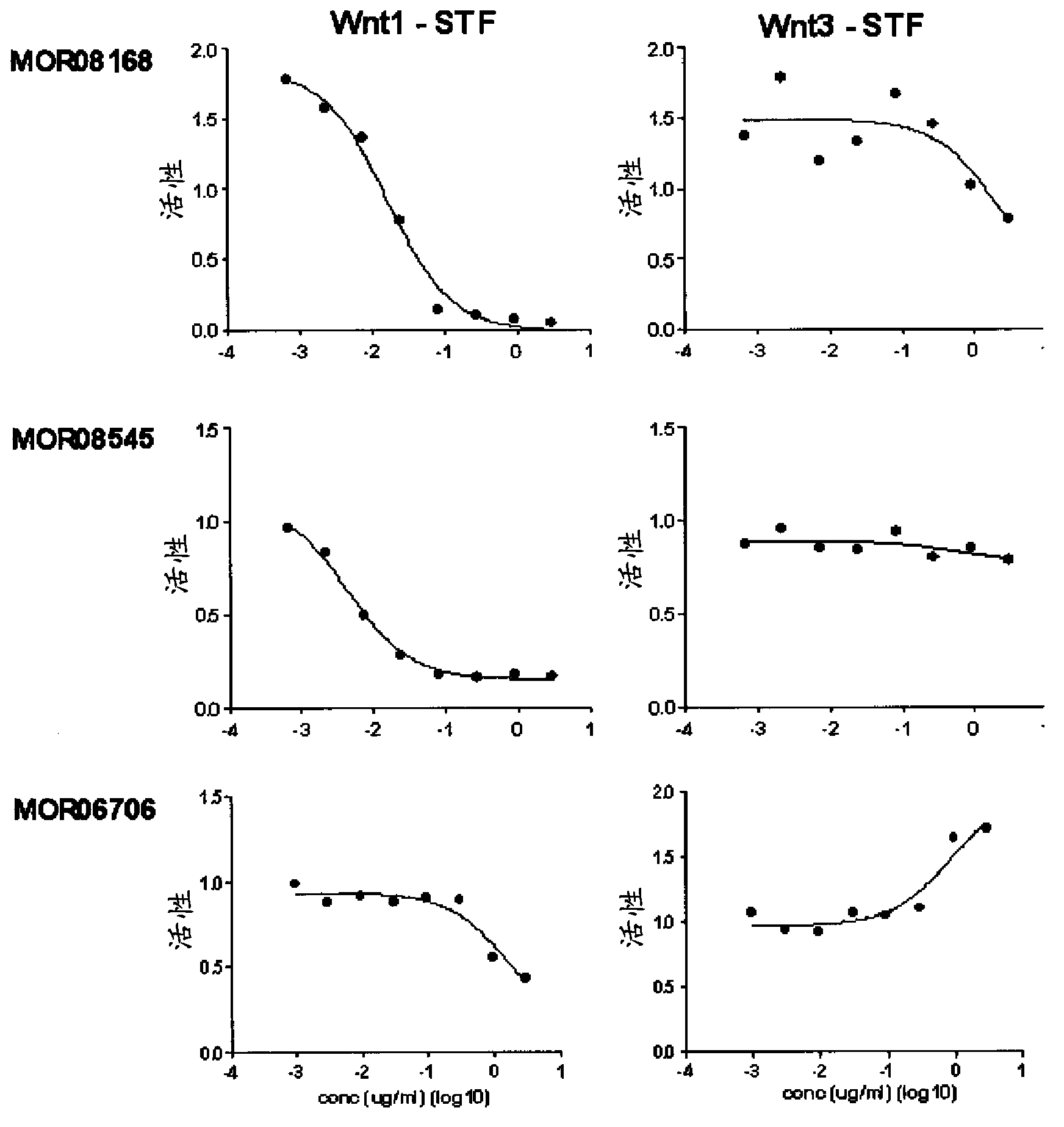 Compositions and methods of use for therapeutic low density lipoprotein-related protein 6 (LPR6) multivalent antibodies