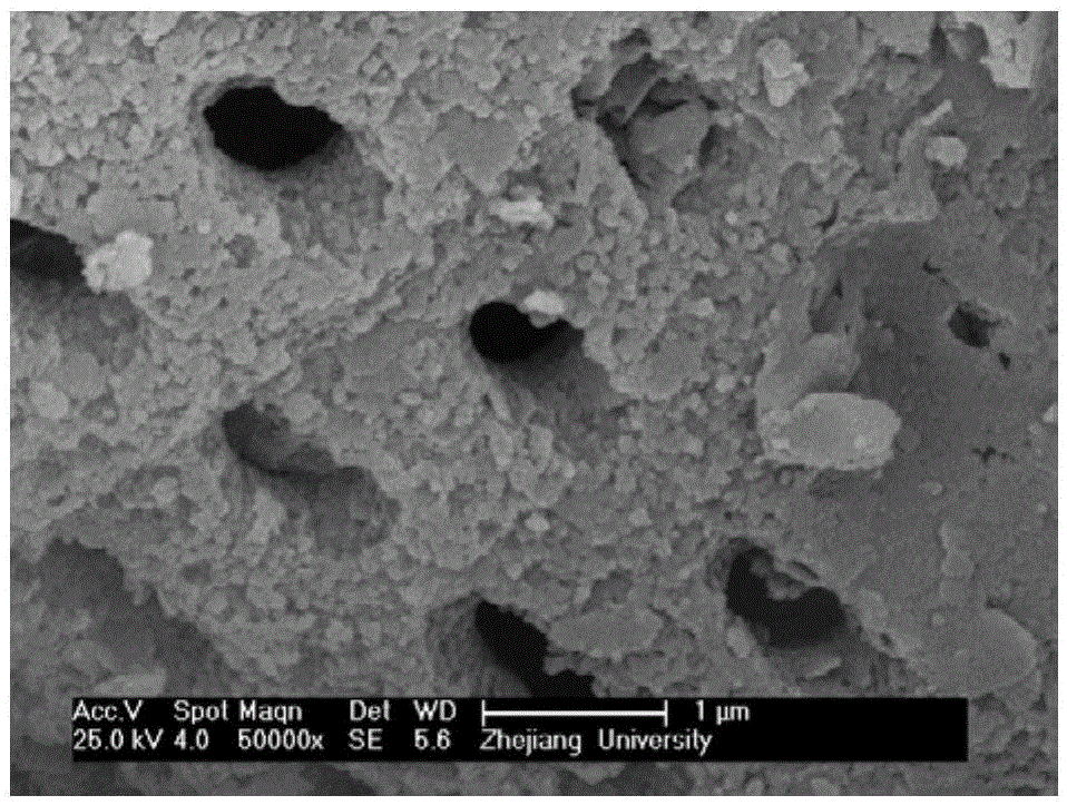 Preparation method of catalyst/adsorption material with diatomite as carrier