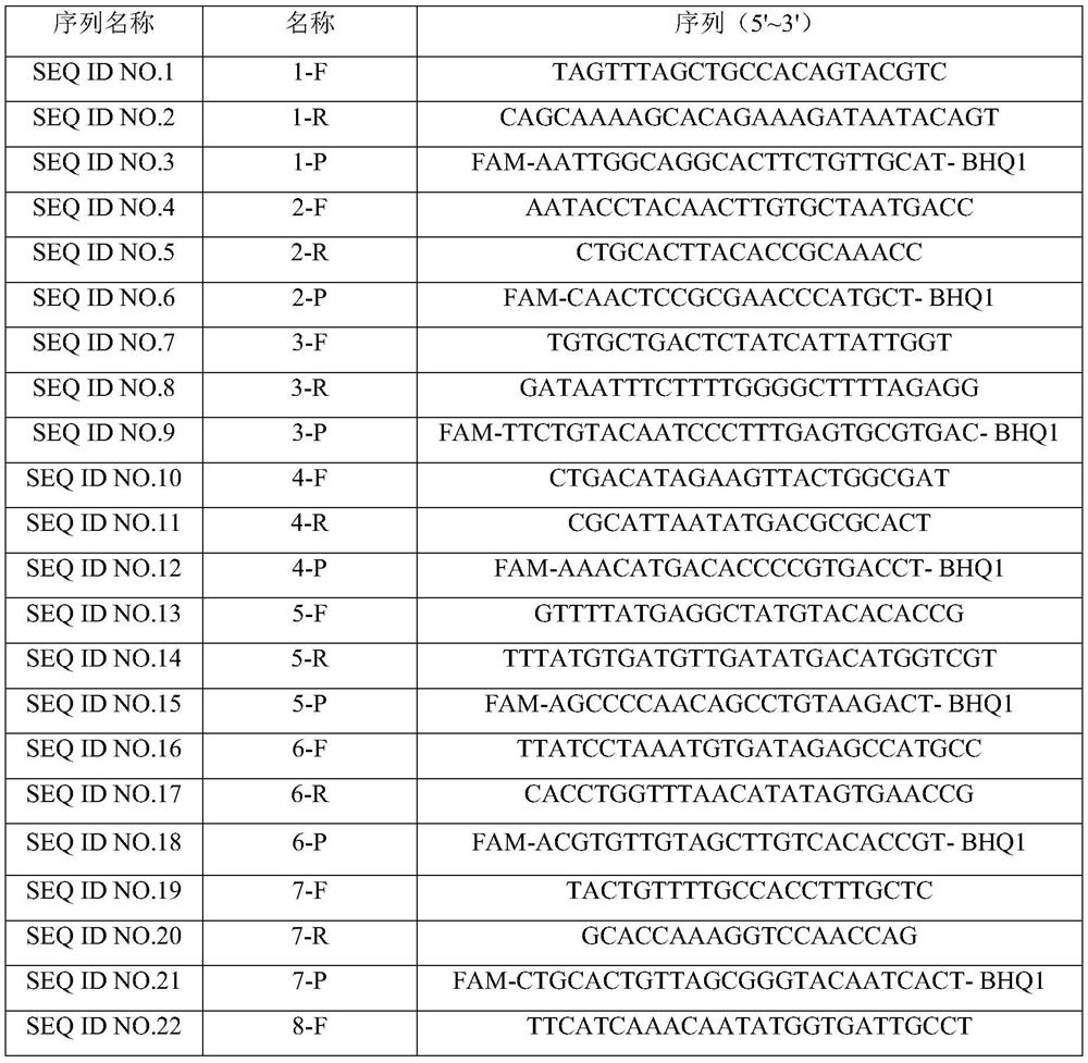 PCR target sequence, primers and probe for detecting infectious SARS-CoV-2 and application of PCR target sequence, primers and probe