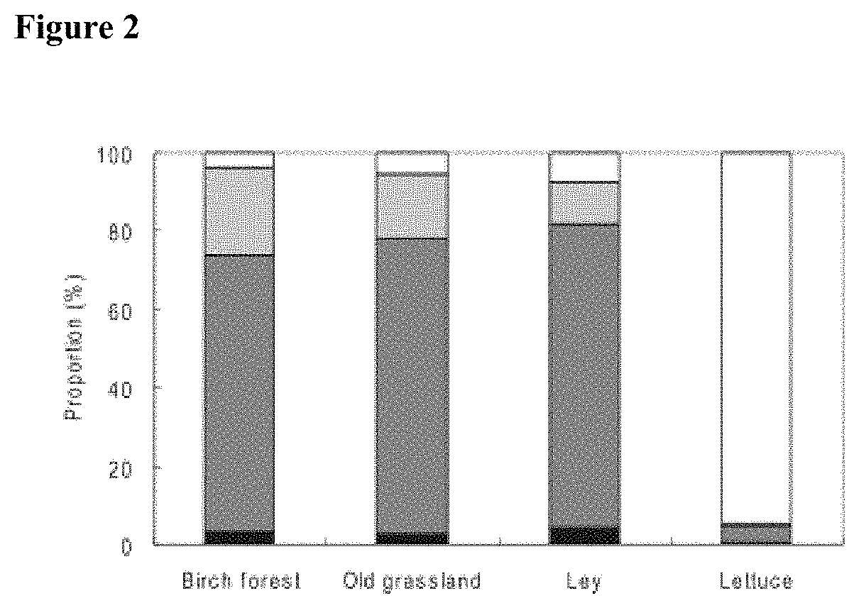 Nitrogen fertilizer bio-catalyst for sustainable crop production