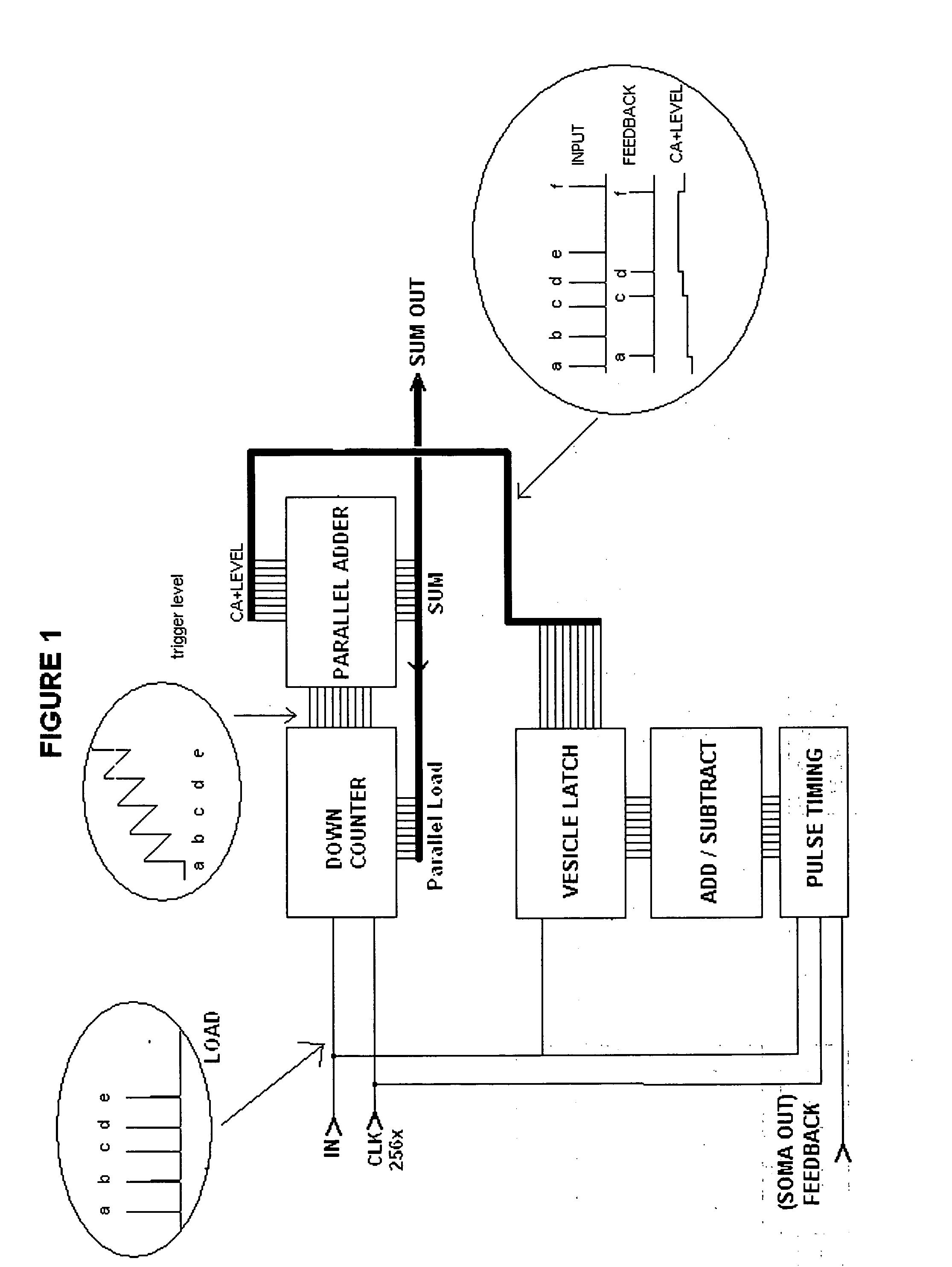 Autonomous Learning Dynamic Artificial Neural Computing Device and Brain Inspired System