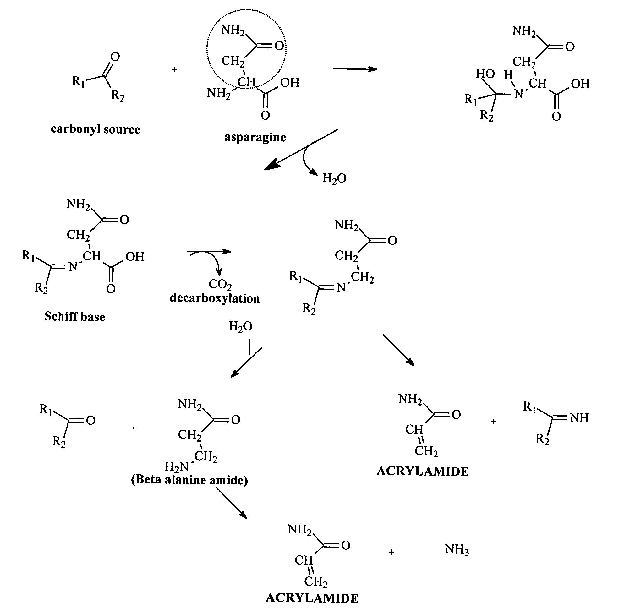 Method for reducing acrylamide in corn-based foods, corn-based foods having reduced levels of acrylamide, and article of commerce