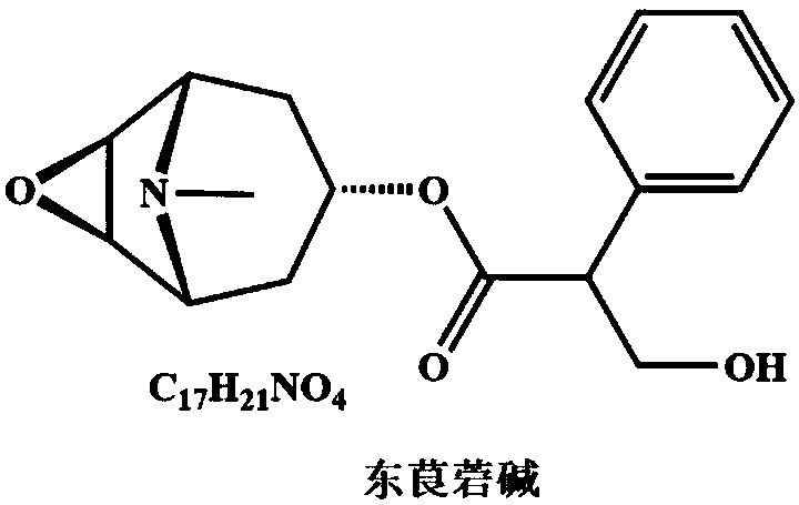 Scopolamine taken as biomarker of toxic honey and application of scopolamine to indentify toxic honey