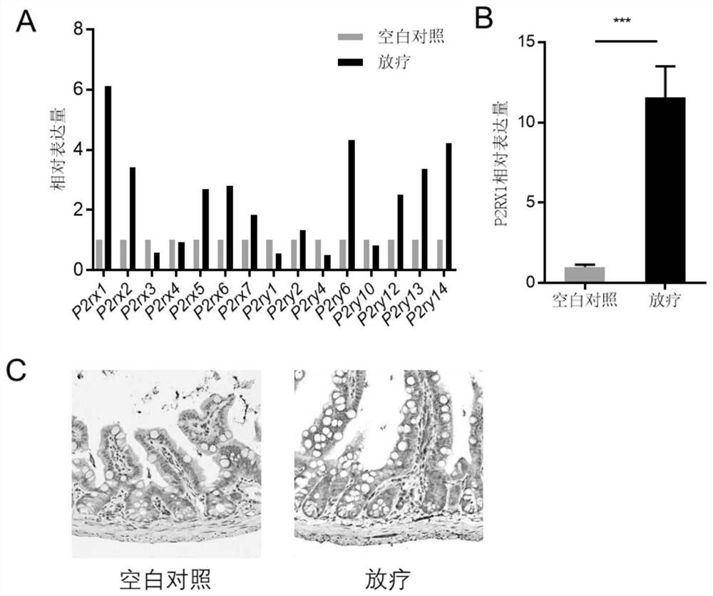 Medicine for treating acute radiation enteritis