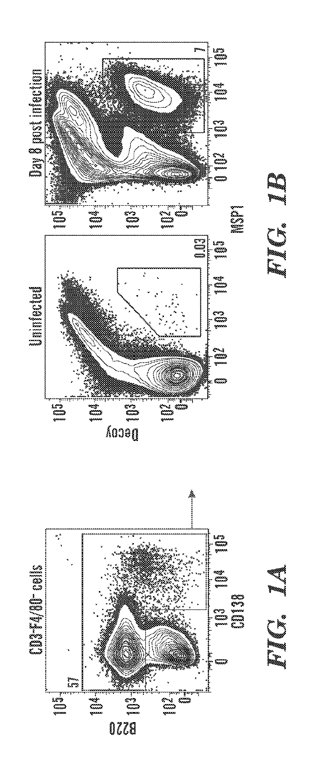 Identification and production of high affinity igm antibodies and derivatives thereof