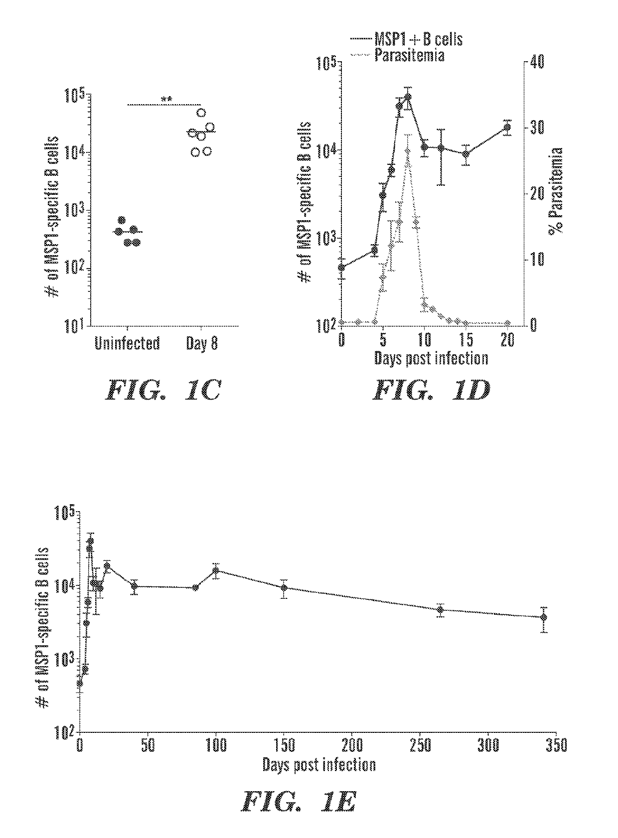 Identification and production of high affinity igm antibodies and derivatives thereof