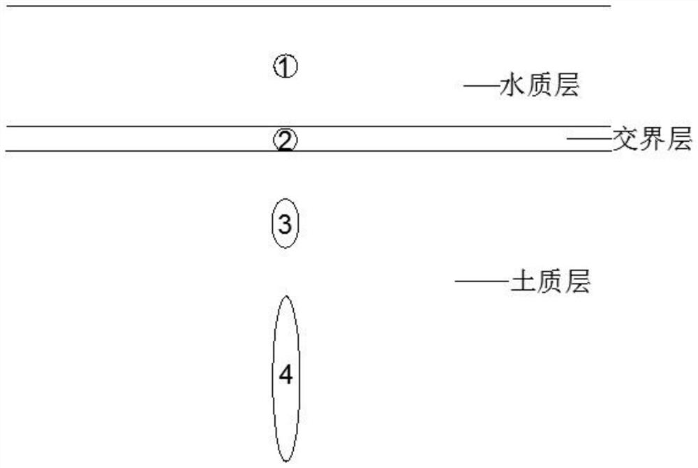 Method for detecting microbial phosphorus in wetland vegetation soil