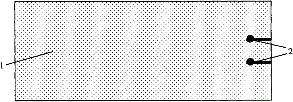 Soft pressure-sensitive probe with small electrodes on the same surface and its development method