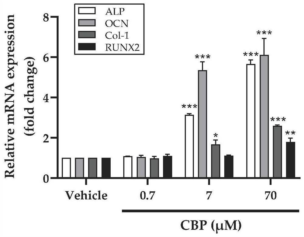 Application of soybean peptide in promoting osteogenic activity