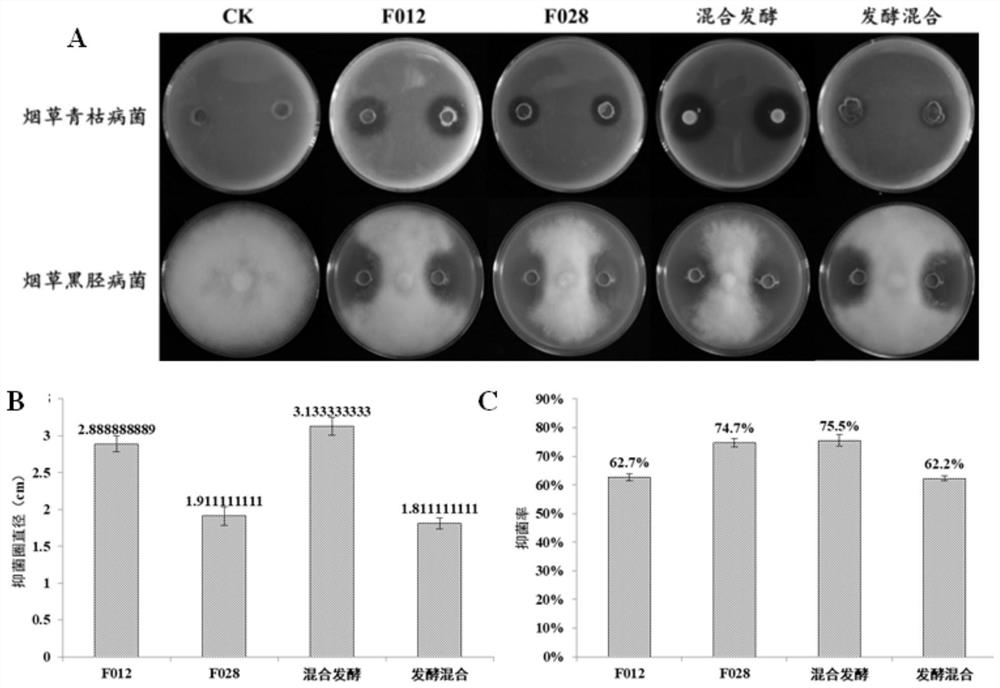 Microbial complex microbial inoculant and application thereof in prevention and treatment of plant diseases