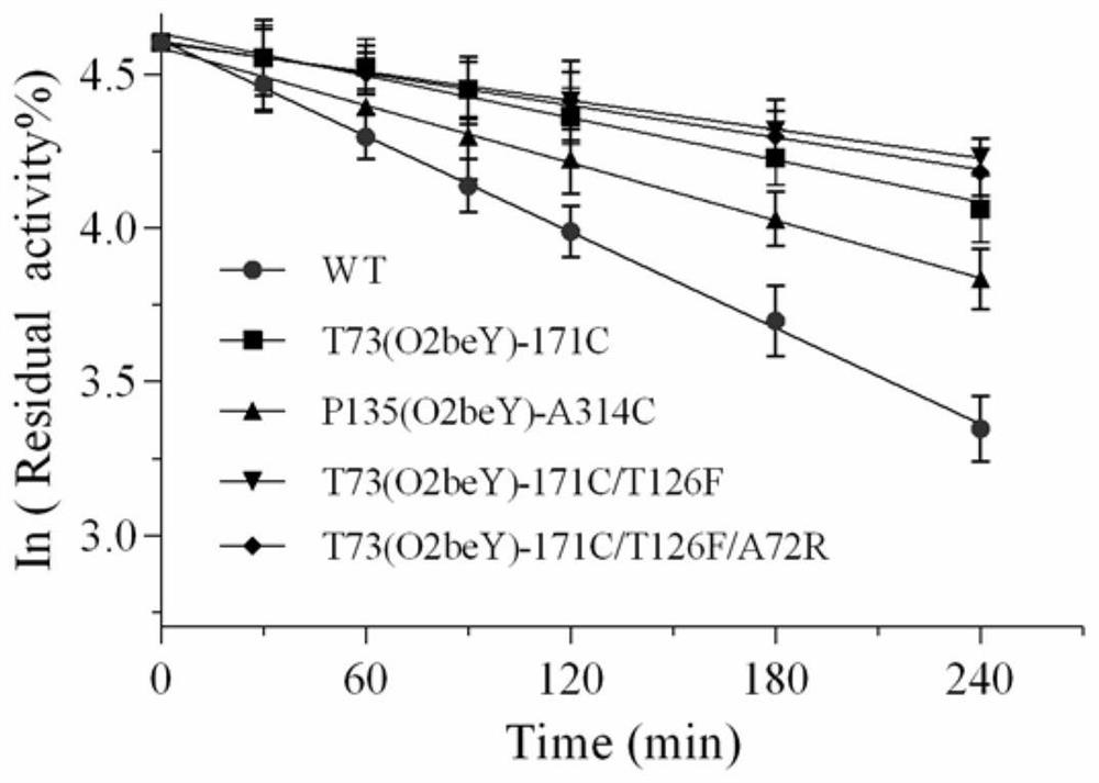 Heat-resistant neutral pullulanase mutant and application thereof