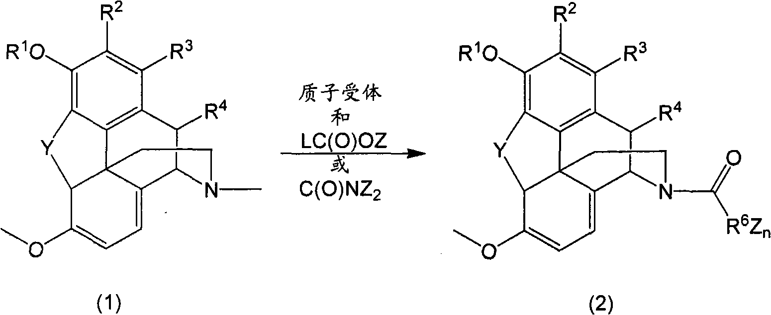 N-demethylation of N-methyl morphinans