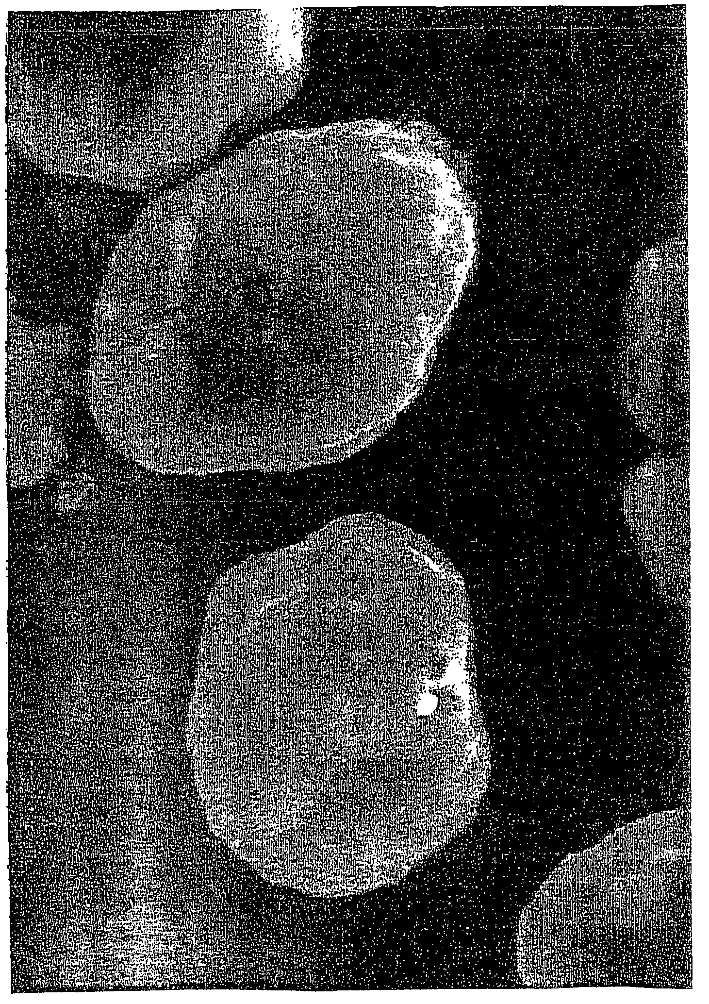 Carbon-covered lithium transition metal oxide, secondary cell positive electrode material and secondary cell