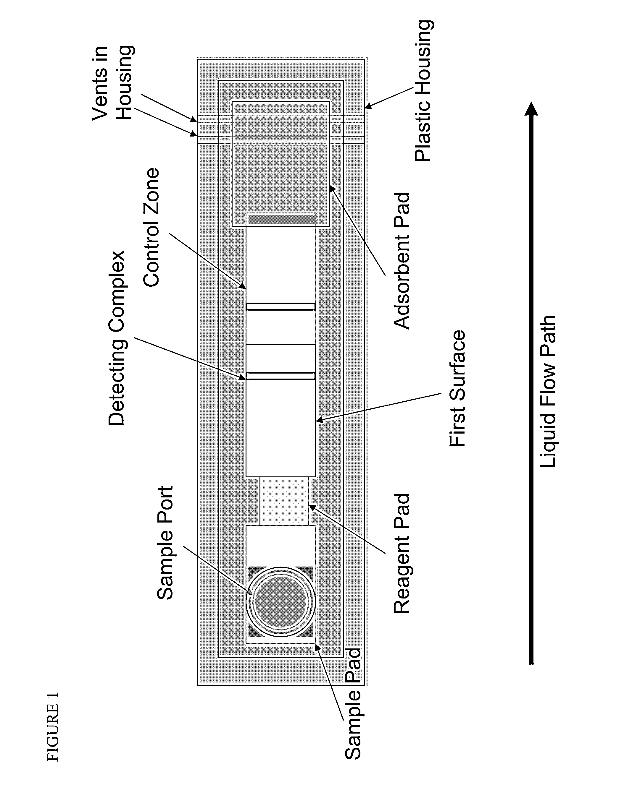 Lateral flow strip assay with immobilized conjugate