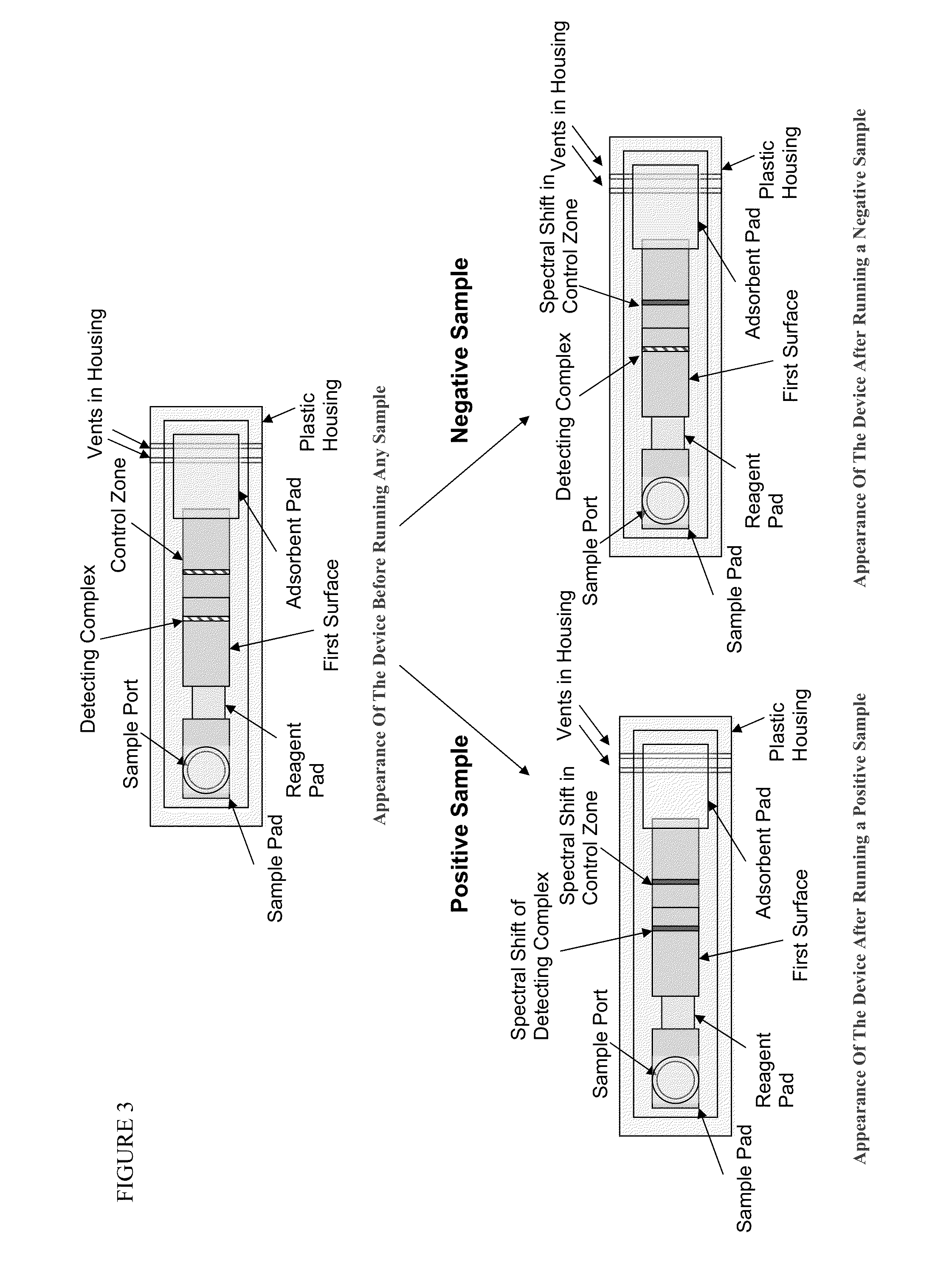 Lateral flow strip assay with immobilized conjugate