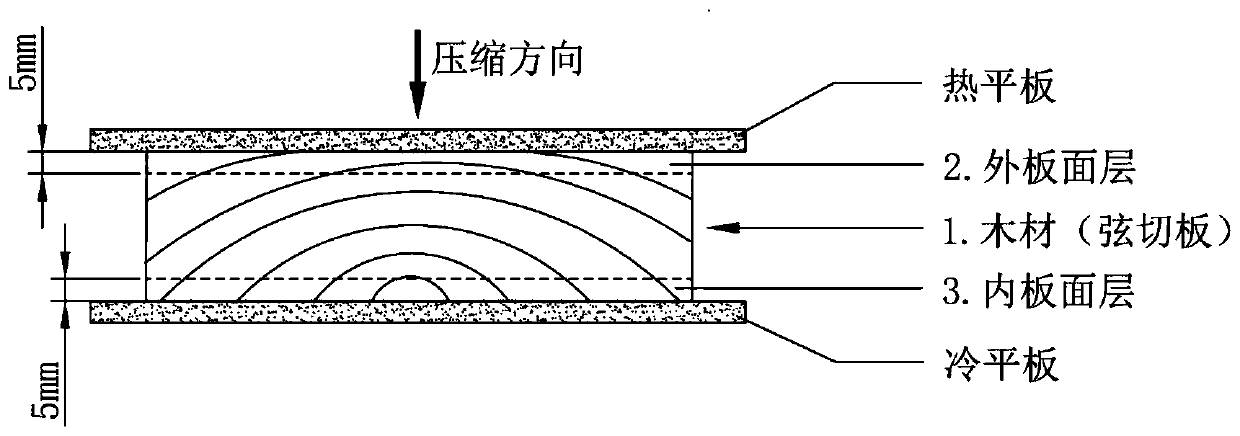 Environmental-friendly unilateral surface layer reinforced stable wood and preparation method thereof