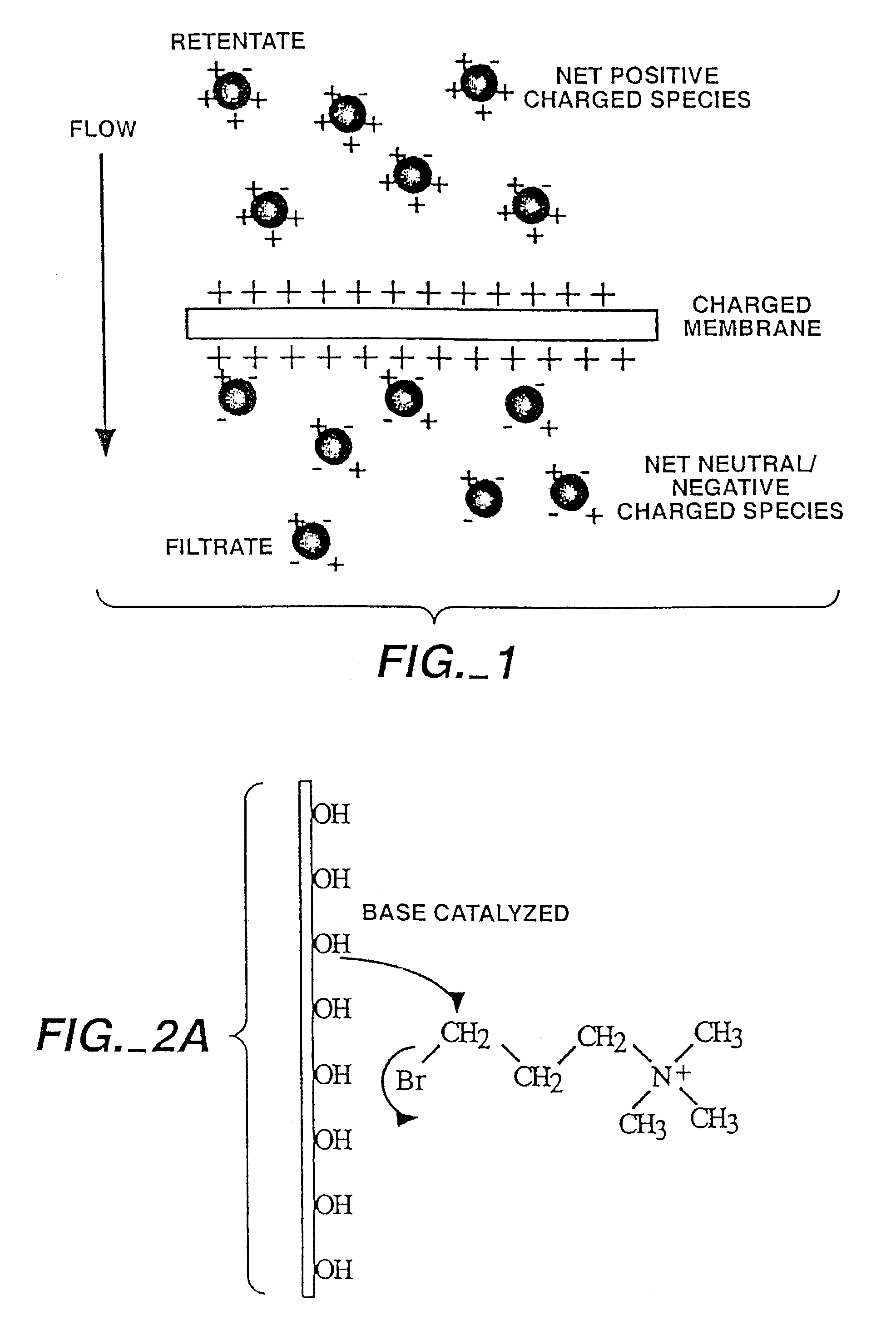 Charged filtration membranes and uses therefor