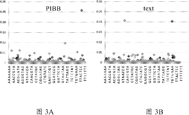 Method and system for processing text based on DNA sequences