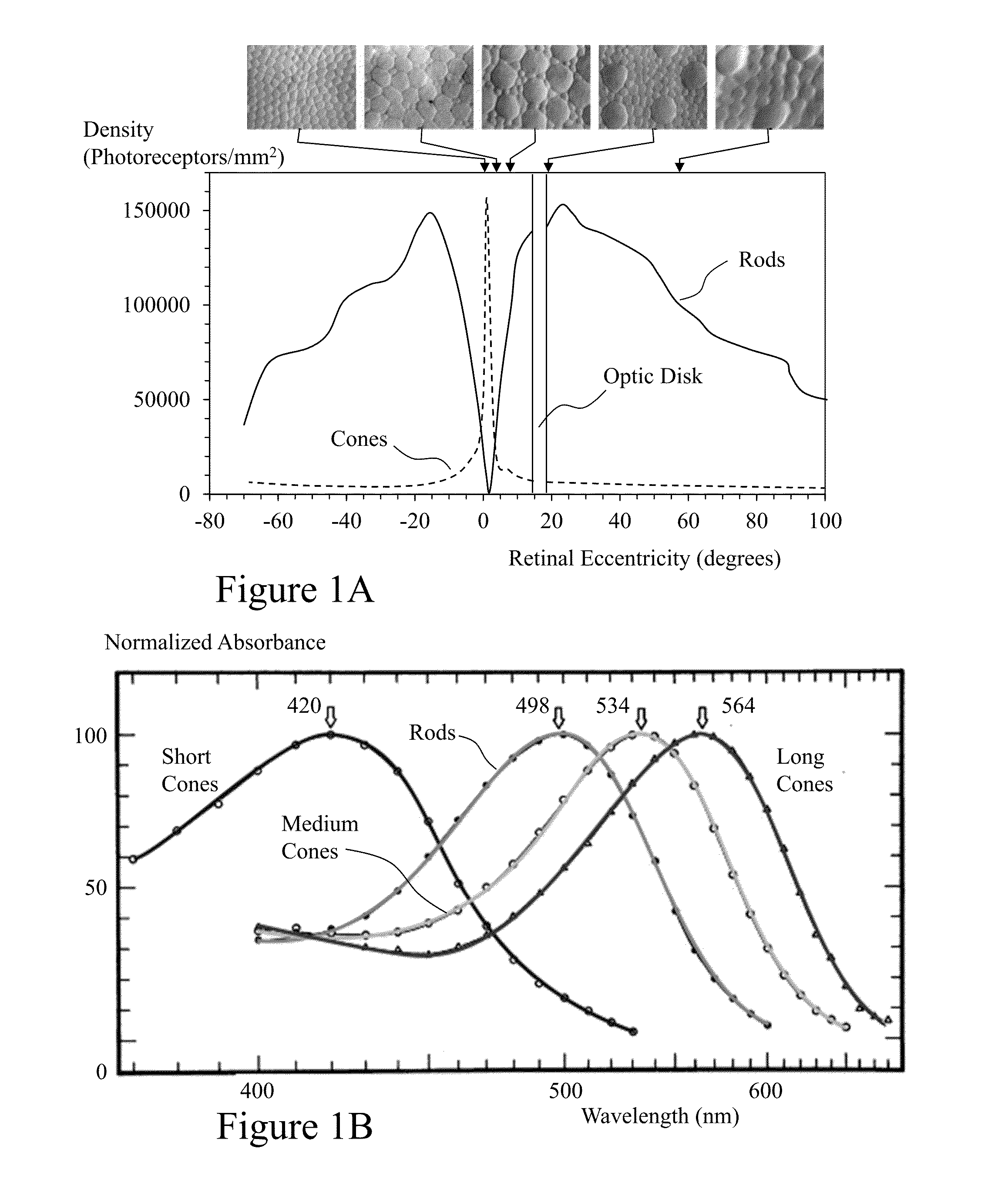 Apparatus and Method for Enhancing Human Visual Performance in a Head Worn Video System