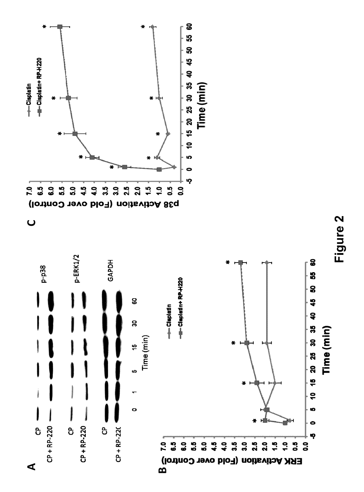 Compositions and Methods for Treating and Preventing Pancreatitis, Renal Injury and Cancer