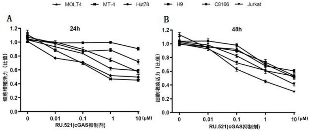 Application of cGAS inhibitor in preparation of medicine for treating T cell lymphoma