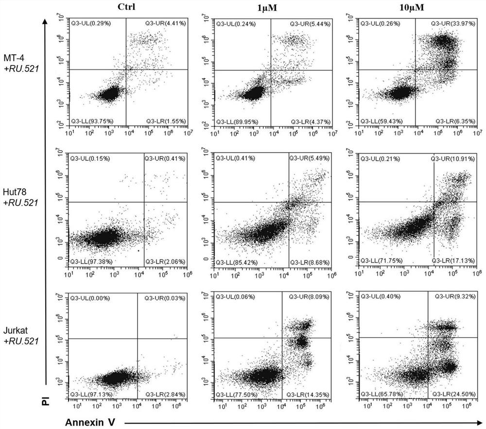 Application of cGAS inhibitor in preparation of medicine for treating T cell lymphoma