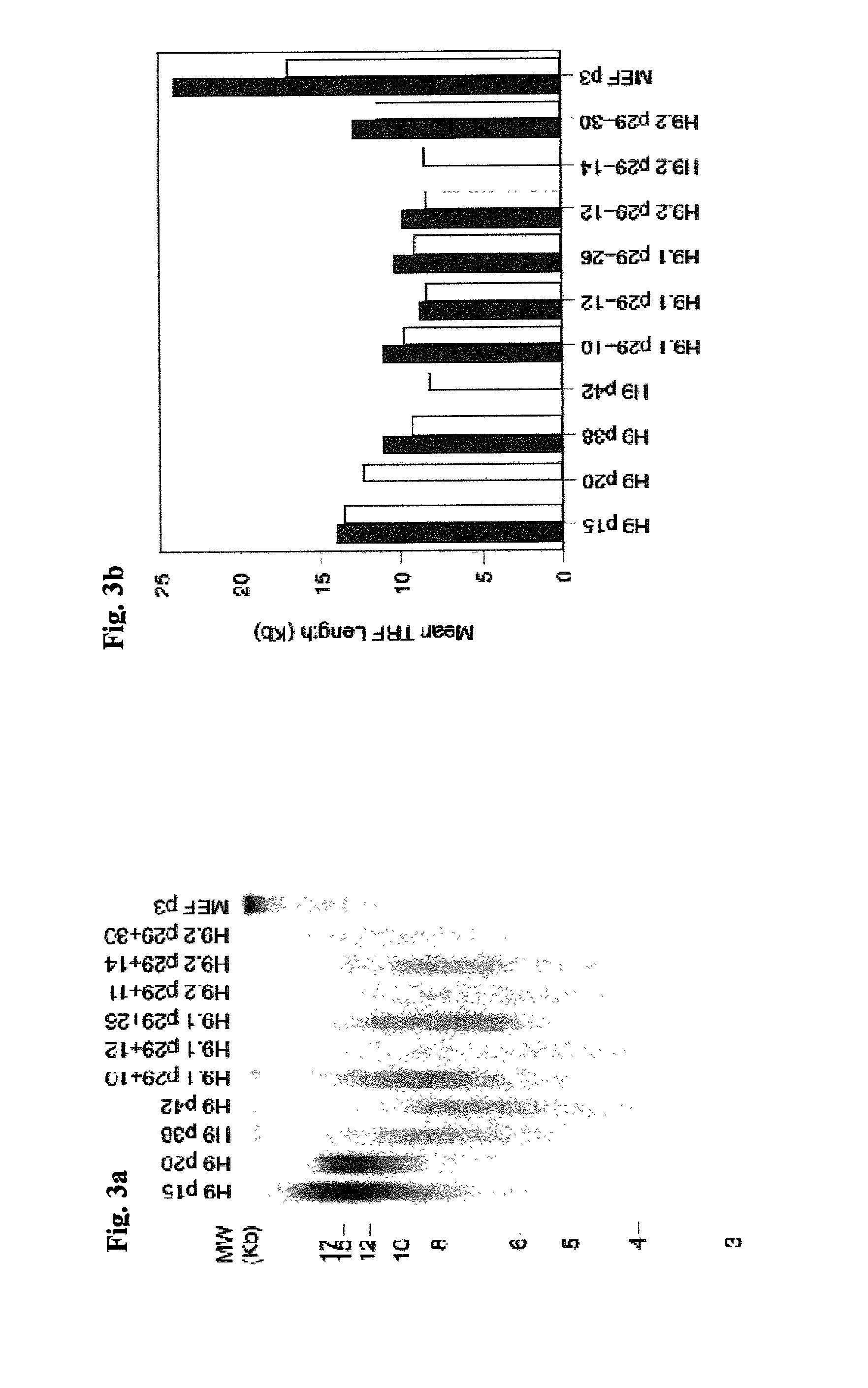 Clonal human embryonic stem cell lines and methods of generating same