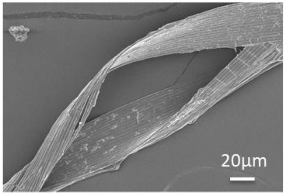 Novel plantain core fiber non-woven fabric and preparation method thereof