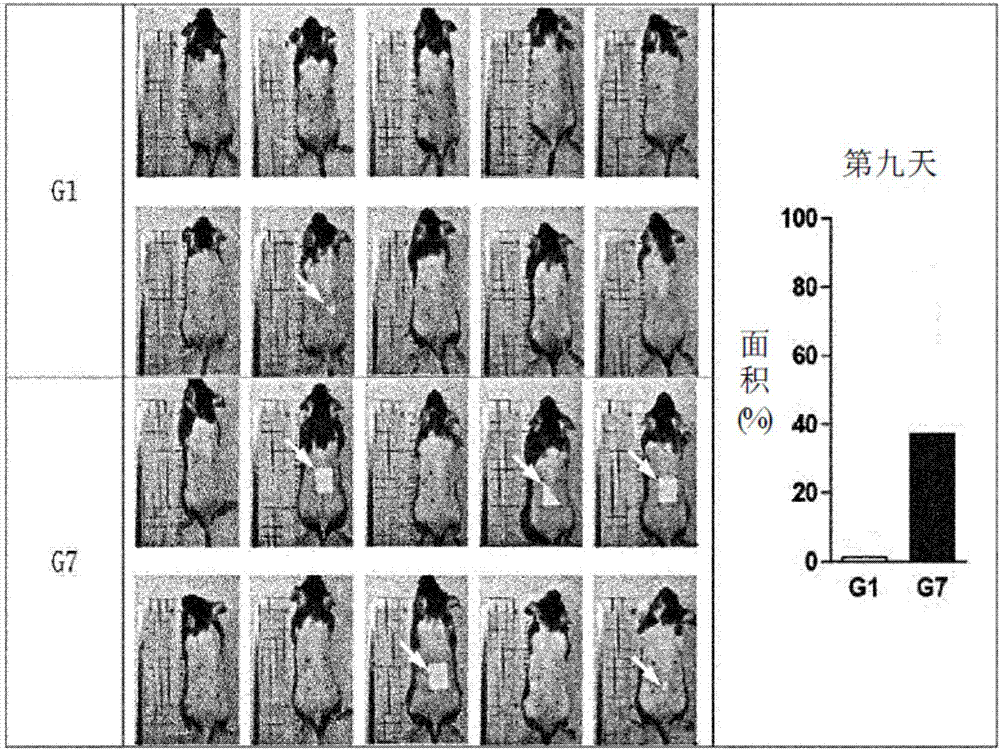 Composition for hair health or hair growth promotion, having improved stability and containing melatonin