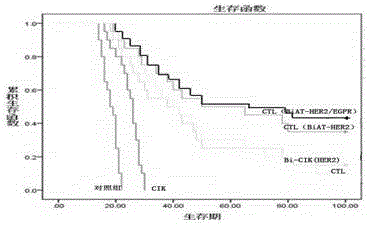 Cell CTL (BiAT) with bispecific antibody as well as preparation method and application thereof