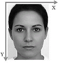 Human face image face key point positioning method