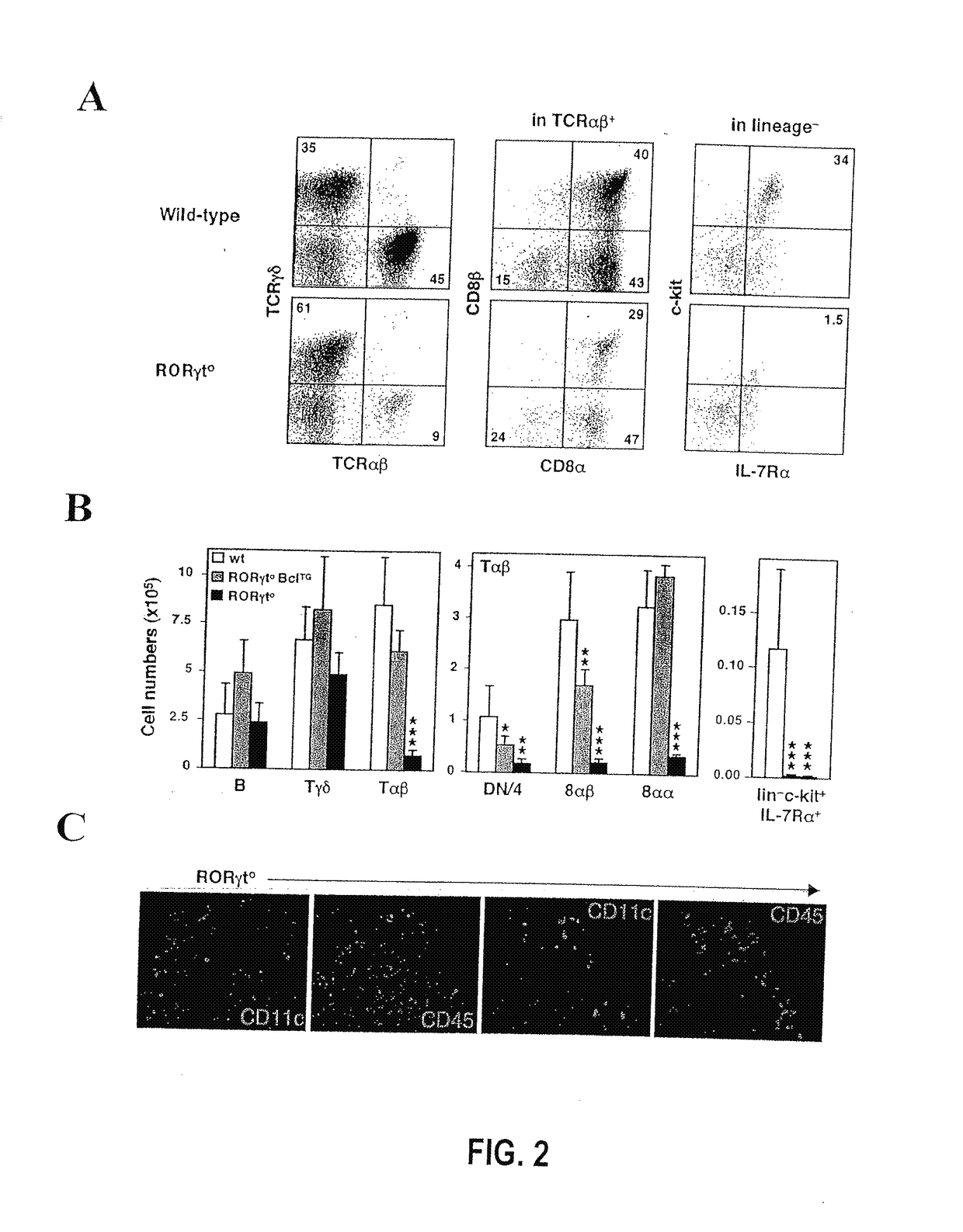 Compositions and methods for modulation of rorgammat functions