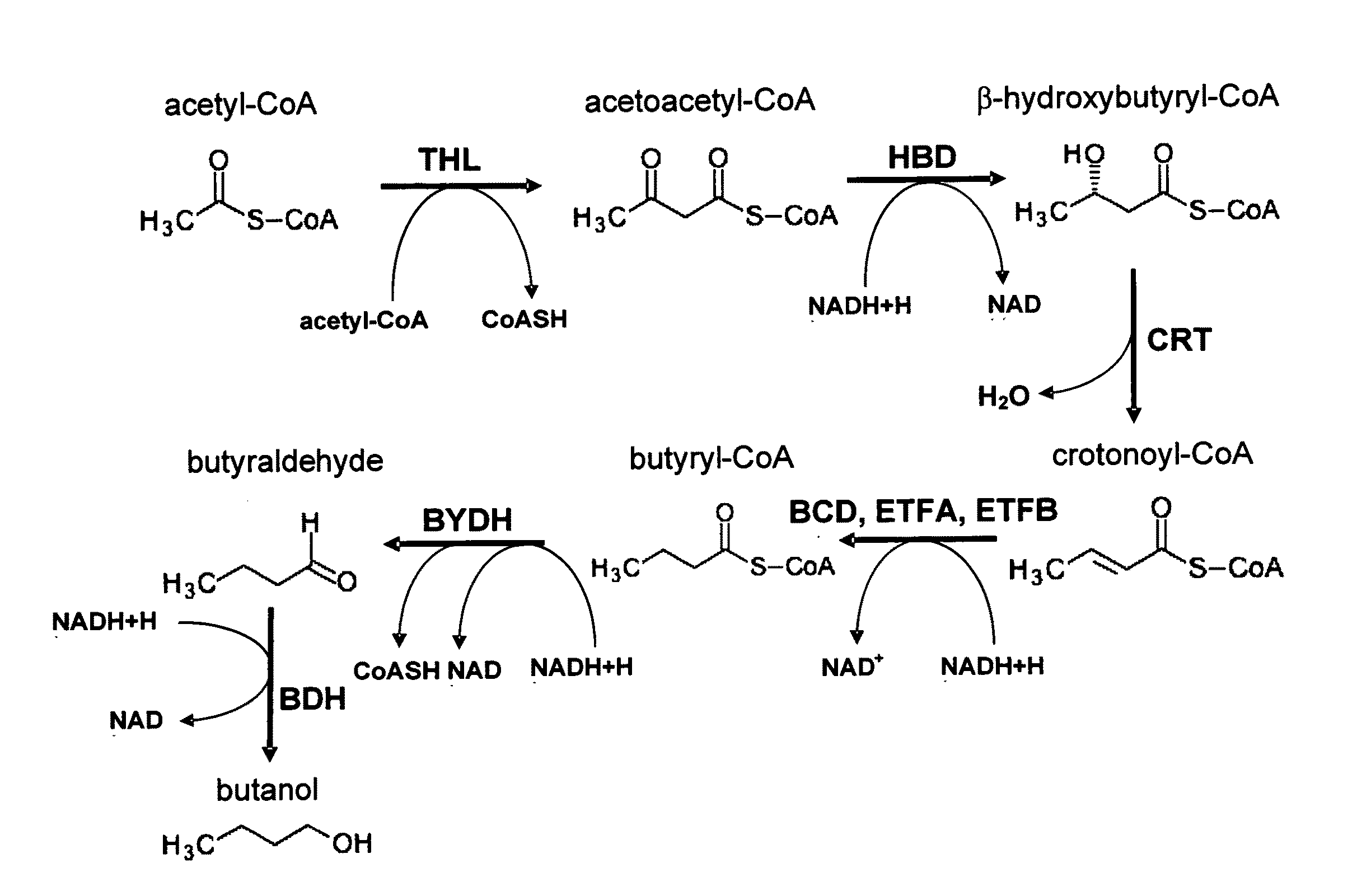 Methods for the production of n-butanol