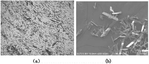 High-strength polyolefin foaming material as well as preparation method and application thereof