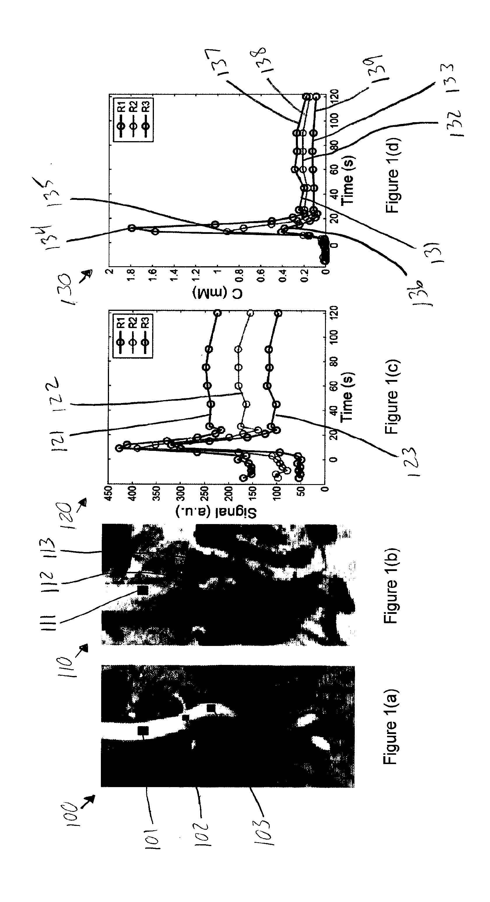 System, method and computer-accessible medium for utilizing cardiac output to improve measurement of tracer input function in dynamic contrast-enhanced magnetic resonance imaging