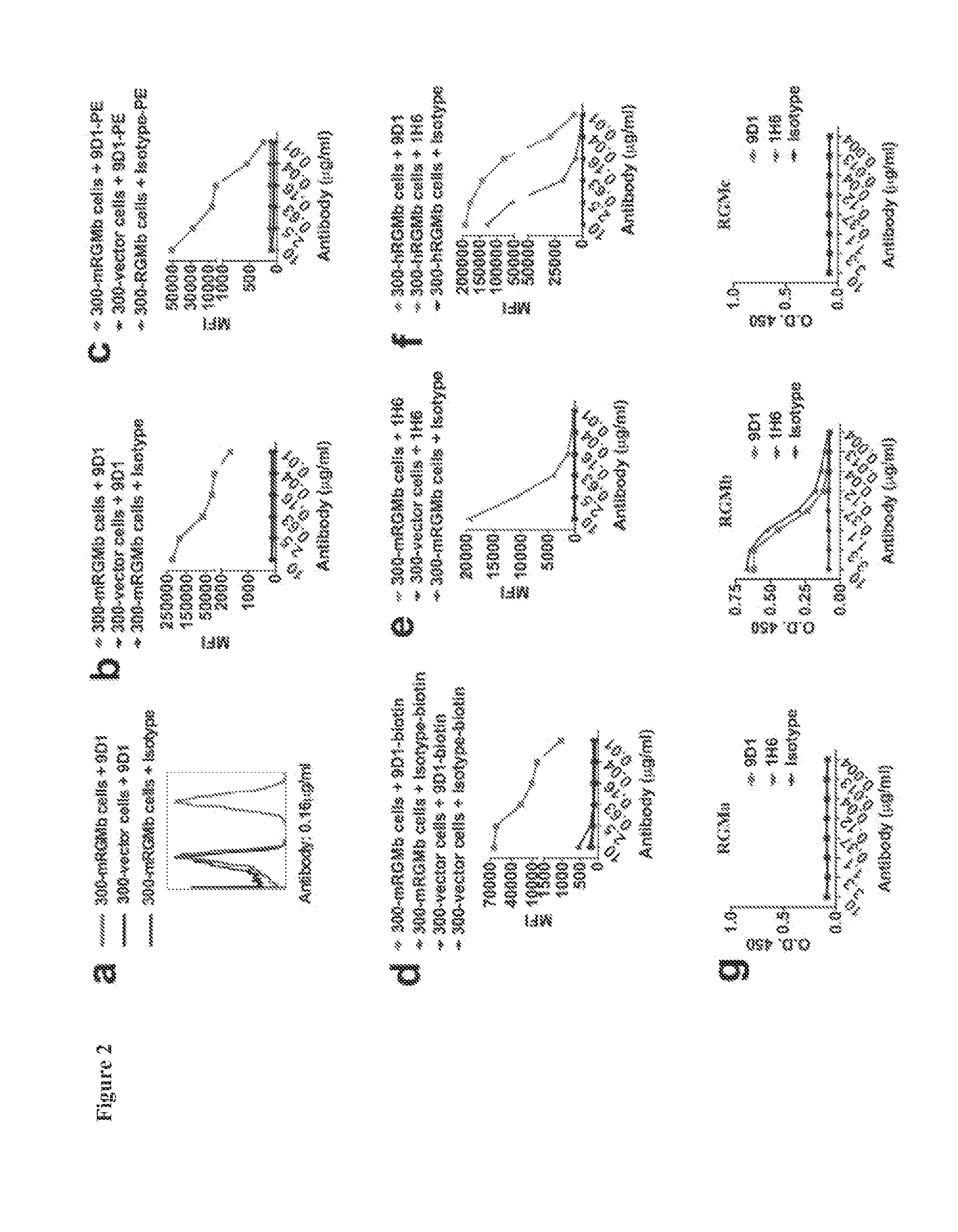AGENTS THAT MODULATE RGMb-NEOGENIN-BMP SIGNALING AND METHODS OF USE THEREOF
