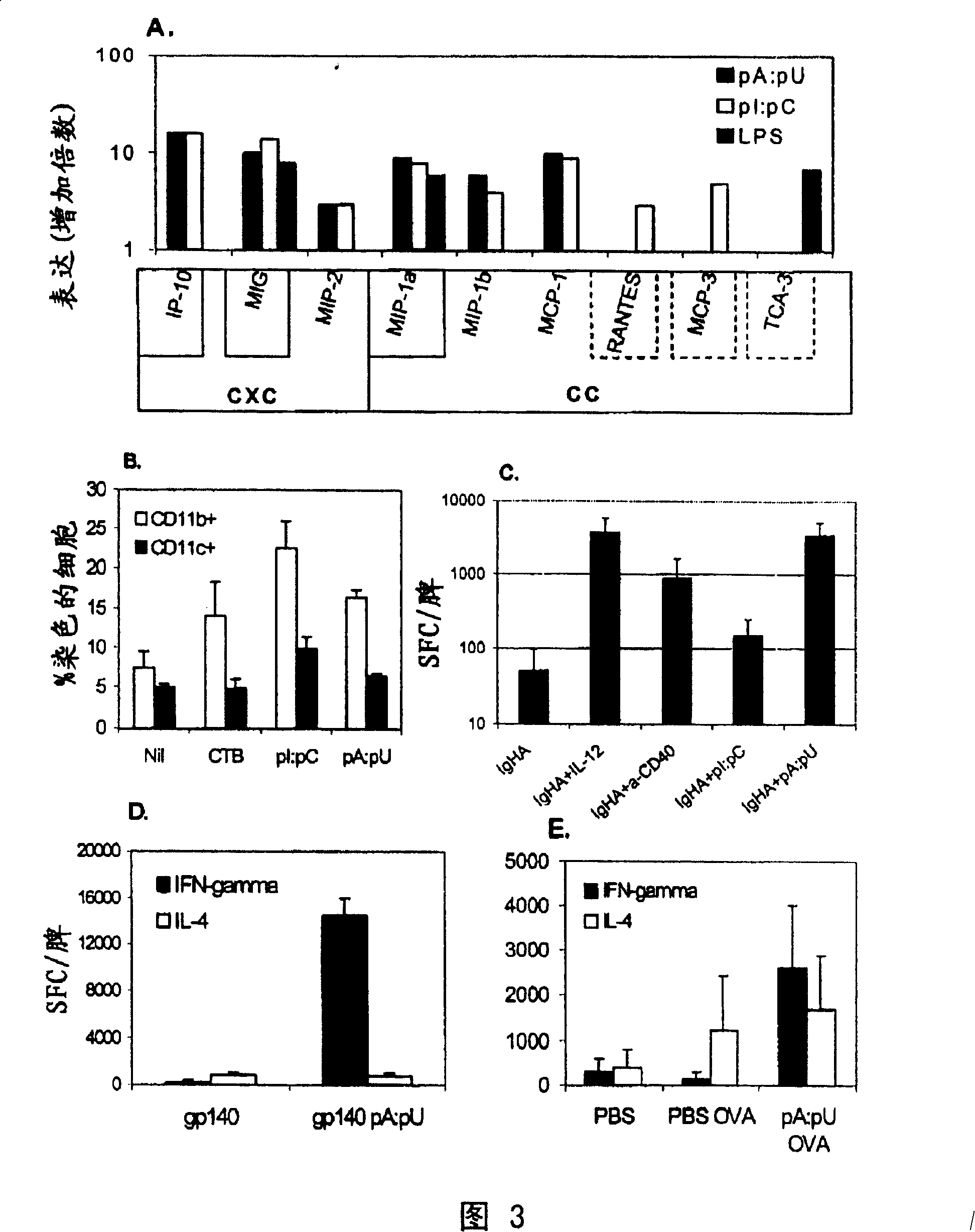 Double-chain RNA and method for initiate, enhance or adjust immunomodulatory of immune response