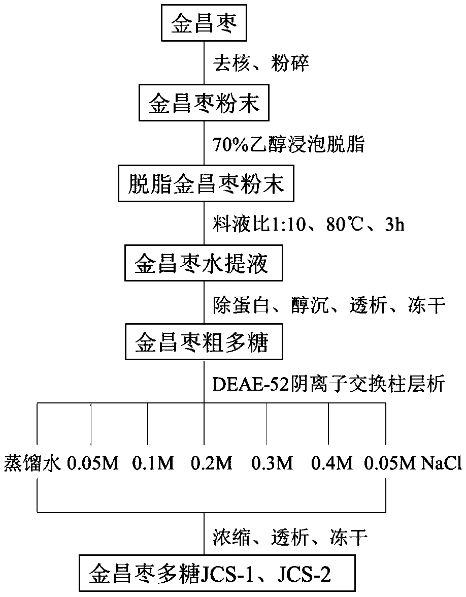 Preparation method of Jinchang jujube polysaccharide with immune modulating function and application thereof