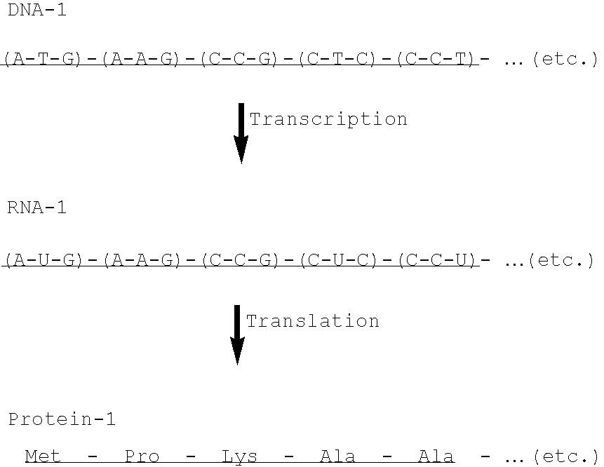 Compositions and methods for the transport of biologically active agents across cellular barriers