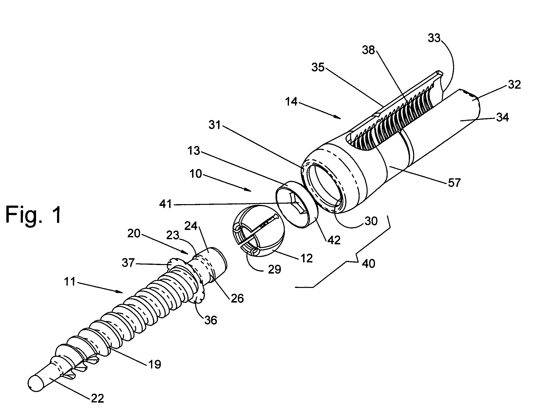 Polyaxial screw
