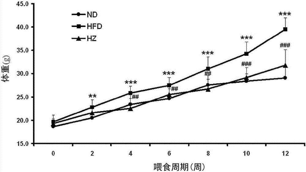 Use of helminthostachys zeylanica, ugonins or flavone-based compounds for the treatment or prevention of metabolic diseases