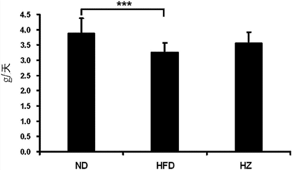 Use of helminthostachys zeylanica, ugonins or flavone-based compounds for the treatment or prevention of metabolic diseases