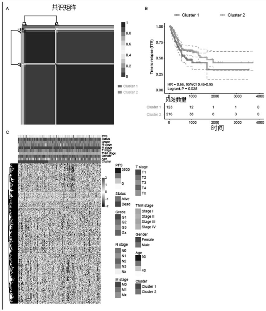 Gastric cancer metabolism gene prognosis prediction method and device