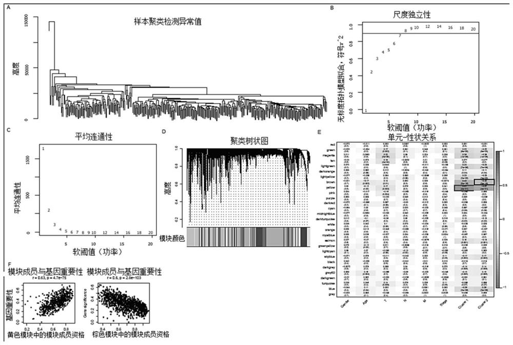 Gastric cancer metabolism gene prognosis prediction method and device