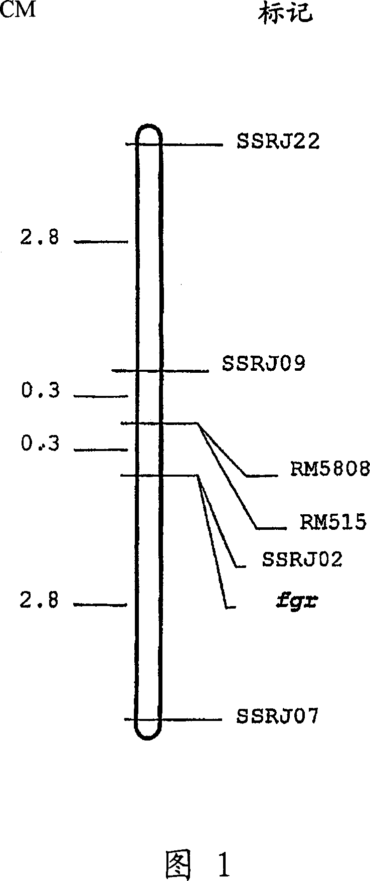 Method for generating frangrance flavor through inactivation or reduction functional protein with betaine aldehyde dehydrogenase (BADH) activity