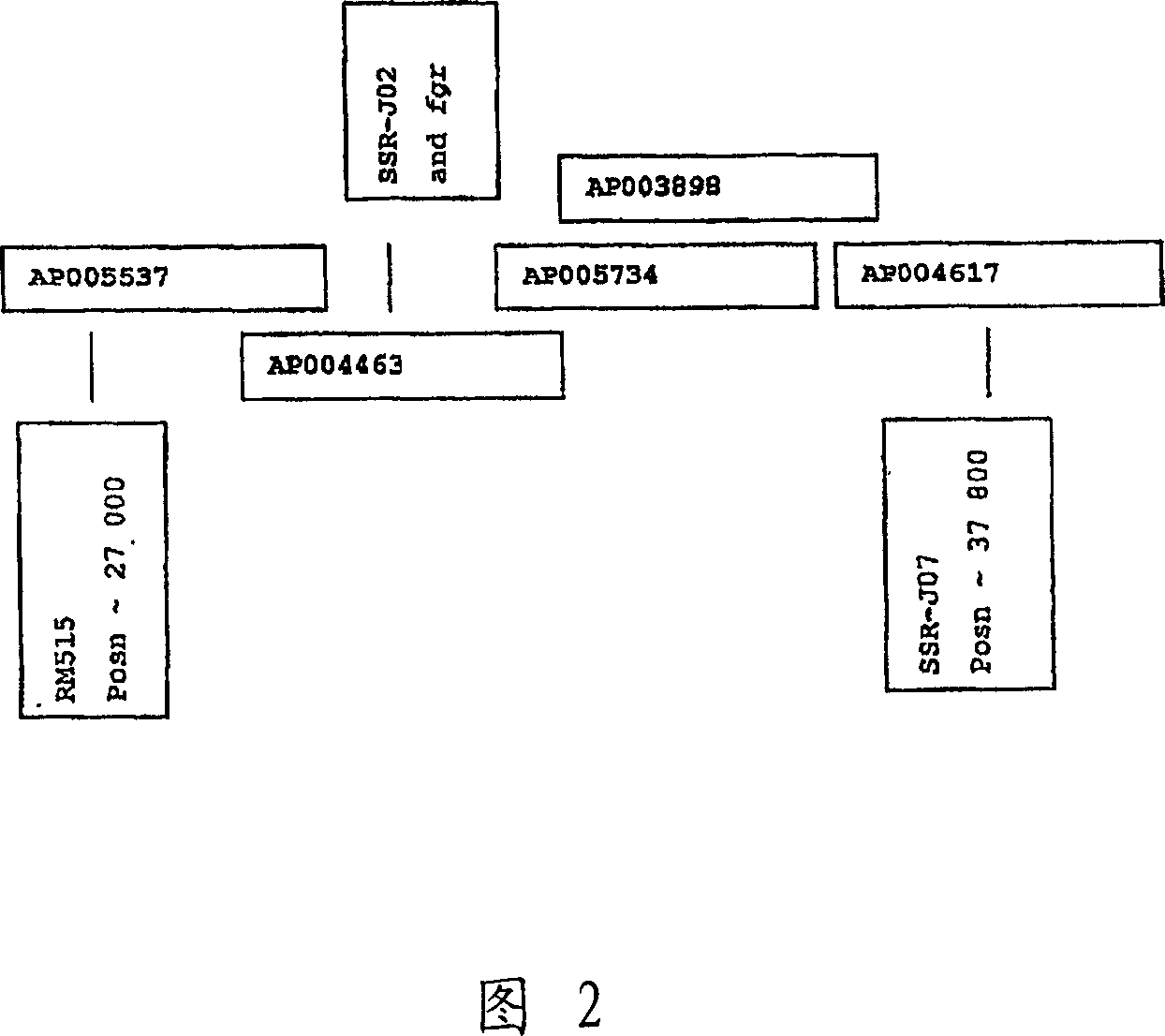 Method for generating frangrance flavor through inactivation or reduction functional protein with betaine aldehyde dehydrogenase (BADH) activity