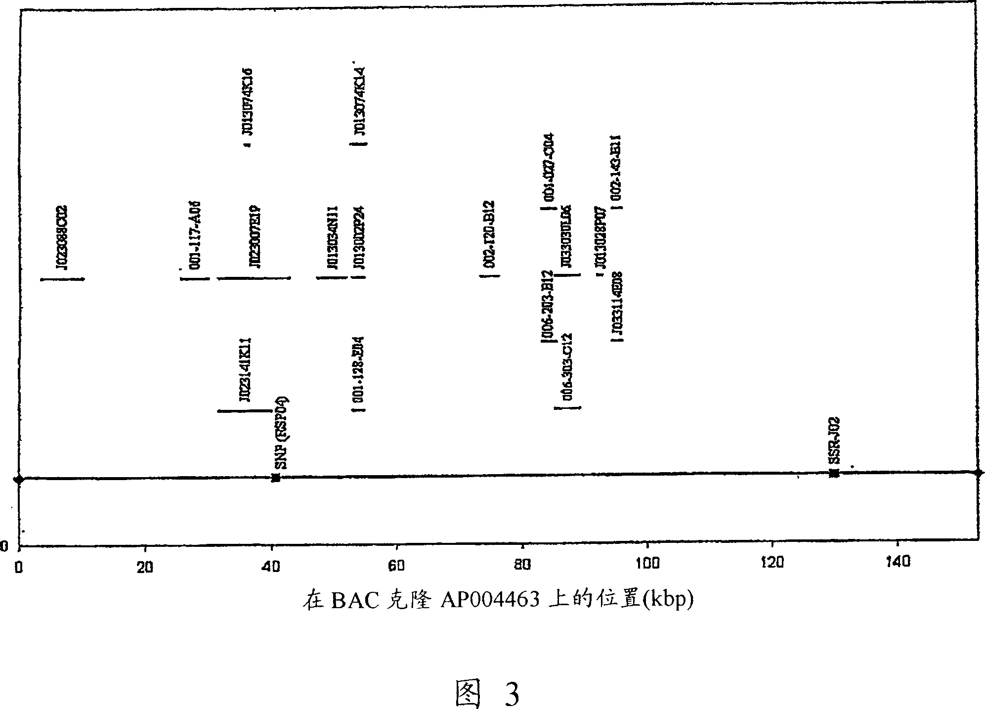 Method for generating frangrance flavor through inactivation or reduction functional protein with betaine aldehyde dehydrogenase (BADH) activity