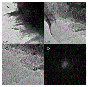 Preparation method of carbon and nitrogen doped niobium (V) pentoxide nano sheet and application of nano sheet as photocatalyst